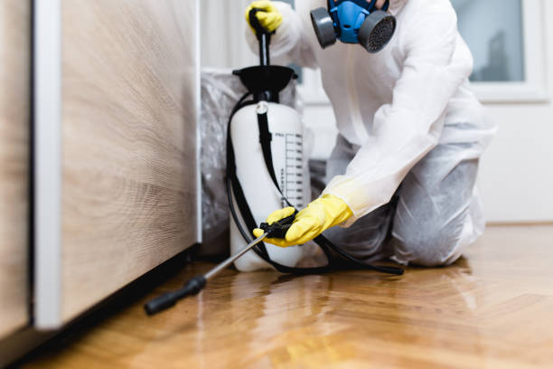 Best Cockroach Control Services  in Dresden, OH