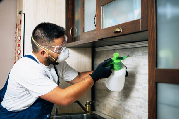 Best Termite Control Services  in Dresden, OH