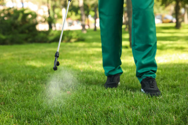 Best Affordable Exterminators  in Dresden, OH