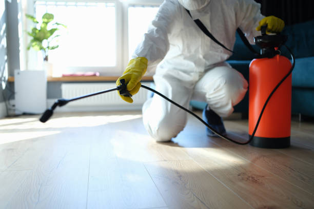 Flea Control Services in Dresden, OH