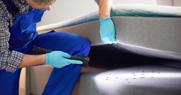Best Exterminator Services  in Dresden, OH