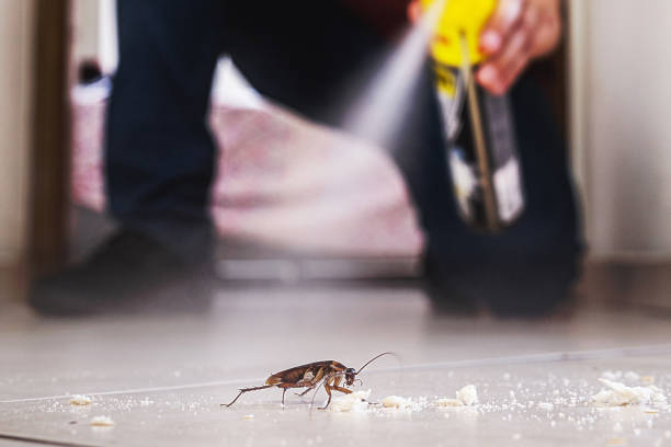 Best Affordable Pest Control Services  in Dresden, OH