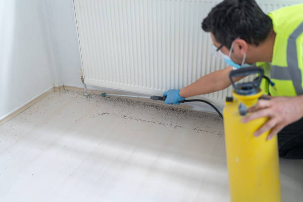Best Pest Prevention Services  in Dresden, OH