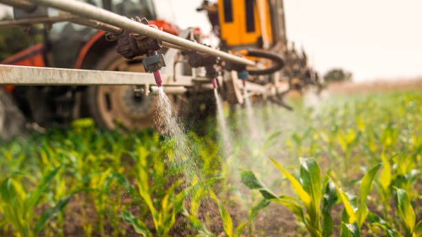 Best Wildlife Control Services  in Dresden, OH